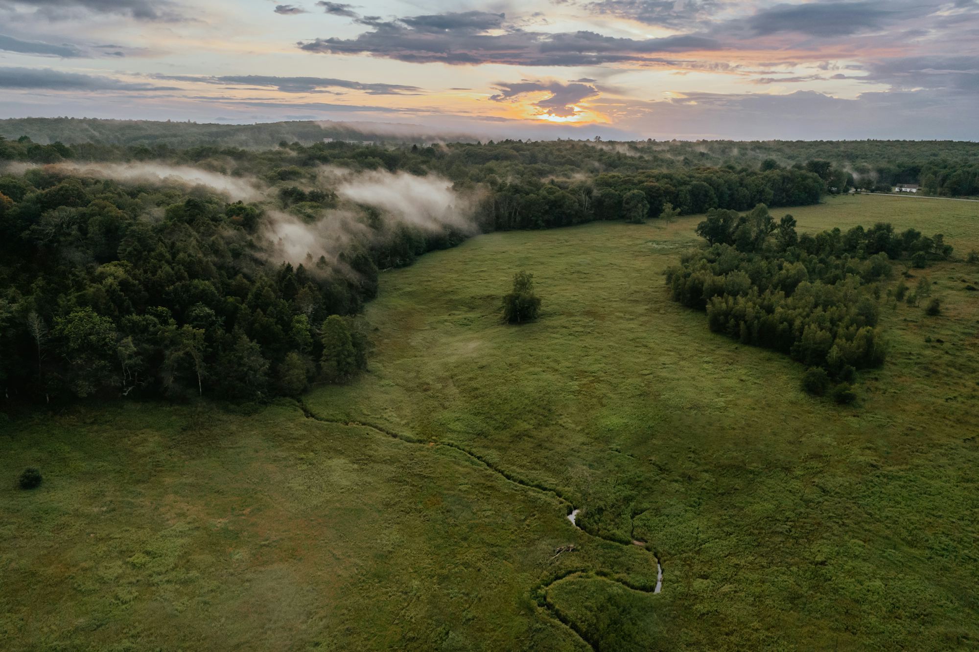 Fog lifting over an open field in Kerhonkson, New York.