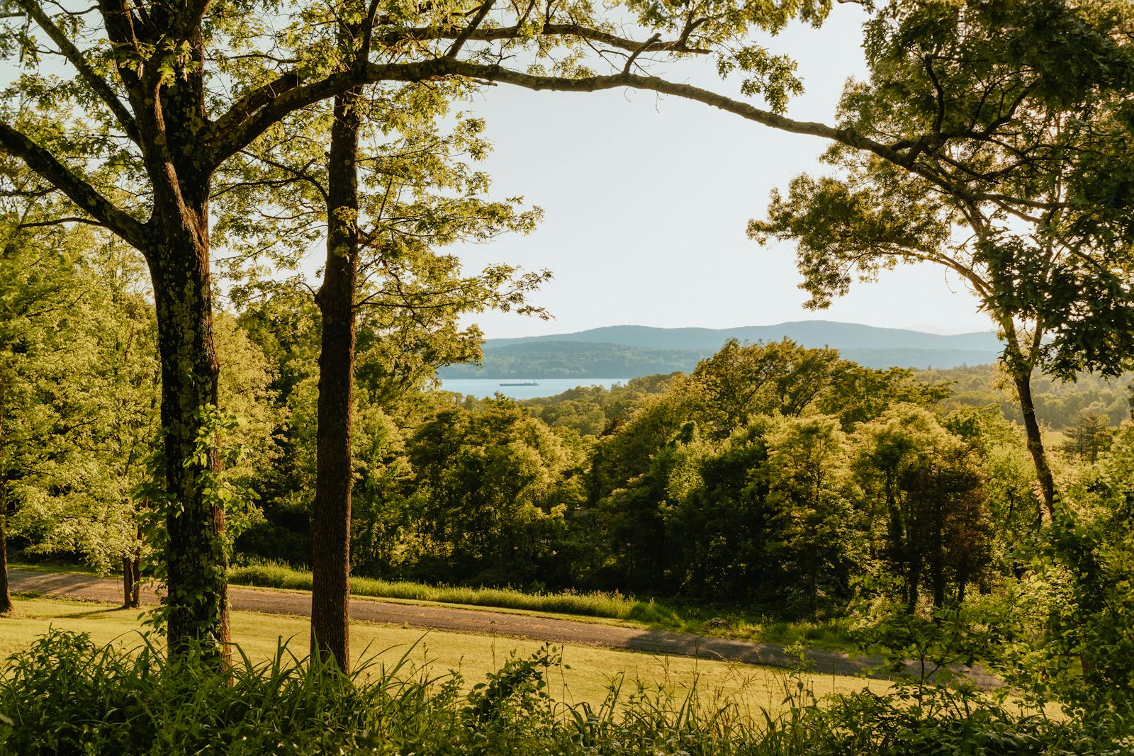 A wooded slope opening onto a wide river valley and distant hills.